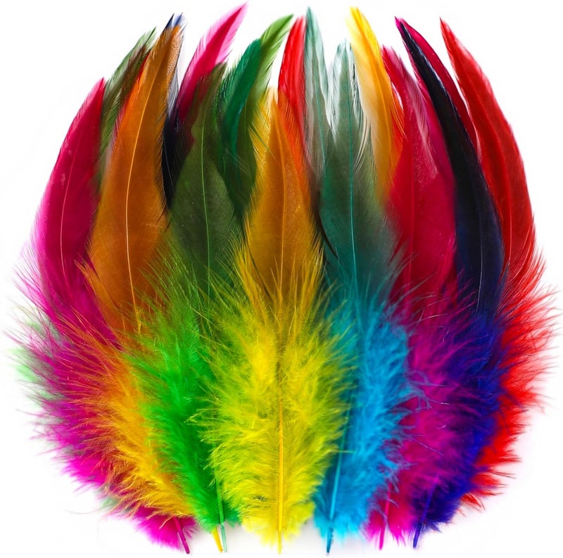 Holmgren Colorful Craft Rooster Feathers - 200pcs 5-7inch Colored Feathers Bulk for Kindergarten DIY Crafts, Art Projects and Party Decorations (Colorful) - Image 1